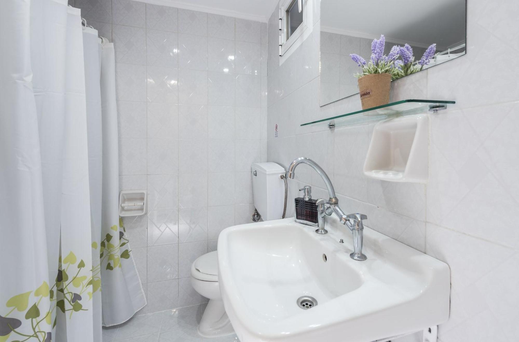 Olga Studios - 3 Циливи Номер фото